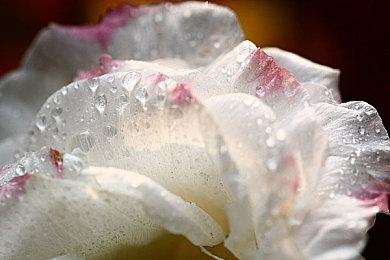 PS5线上比赛功能PlayStation Tournaments竞赛中心现已推出